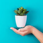 Minimalismo: como viver de um jeito mais simples