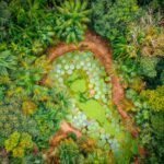 A importância do projeto paisagístico