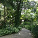 Jardim é o bairro mais desejado de Santo André