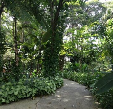 Parque Celso Daniel