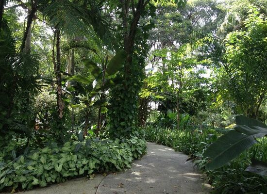 Parque Celso Daniel