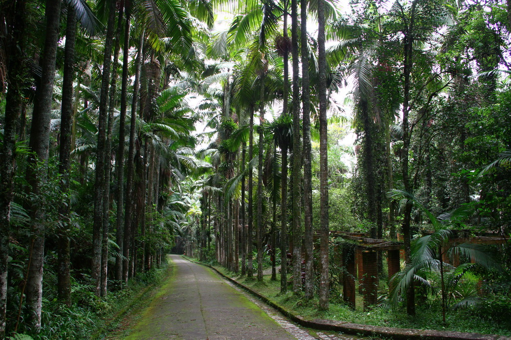 Parque Guapituba próximo aoAquitânia